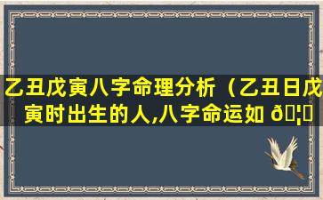 乙丑戊寅八字命理分析（乙丑日戊寅时出生的人,八字命运如 🦈 何）